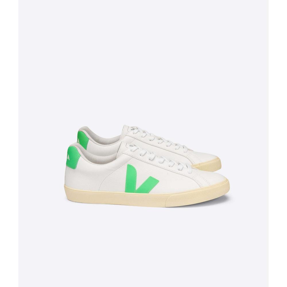 Men\'s Veja ESPLAR CHROMEFREE Shoes White/Green | ZA 192EBC